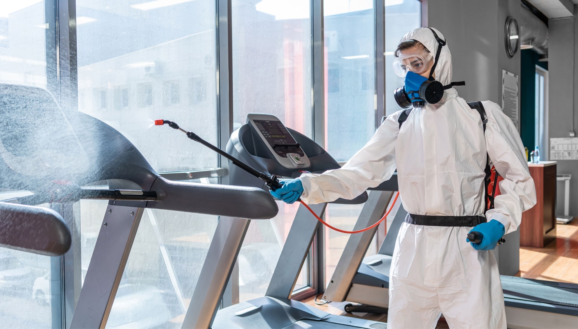 Commercial Mold Removal Services in Fort Worth