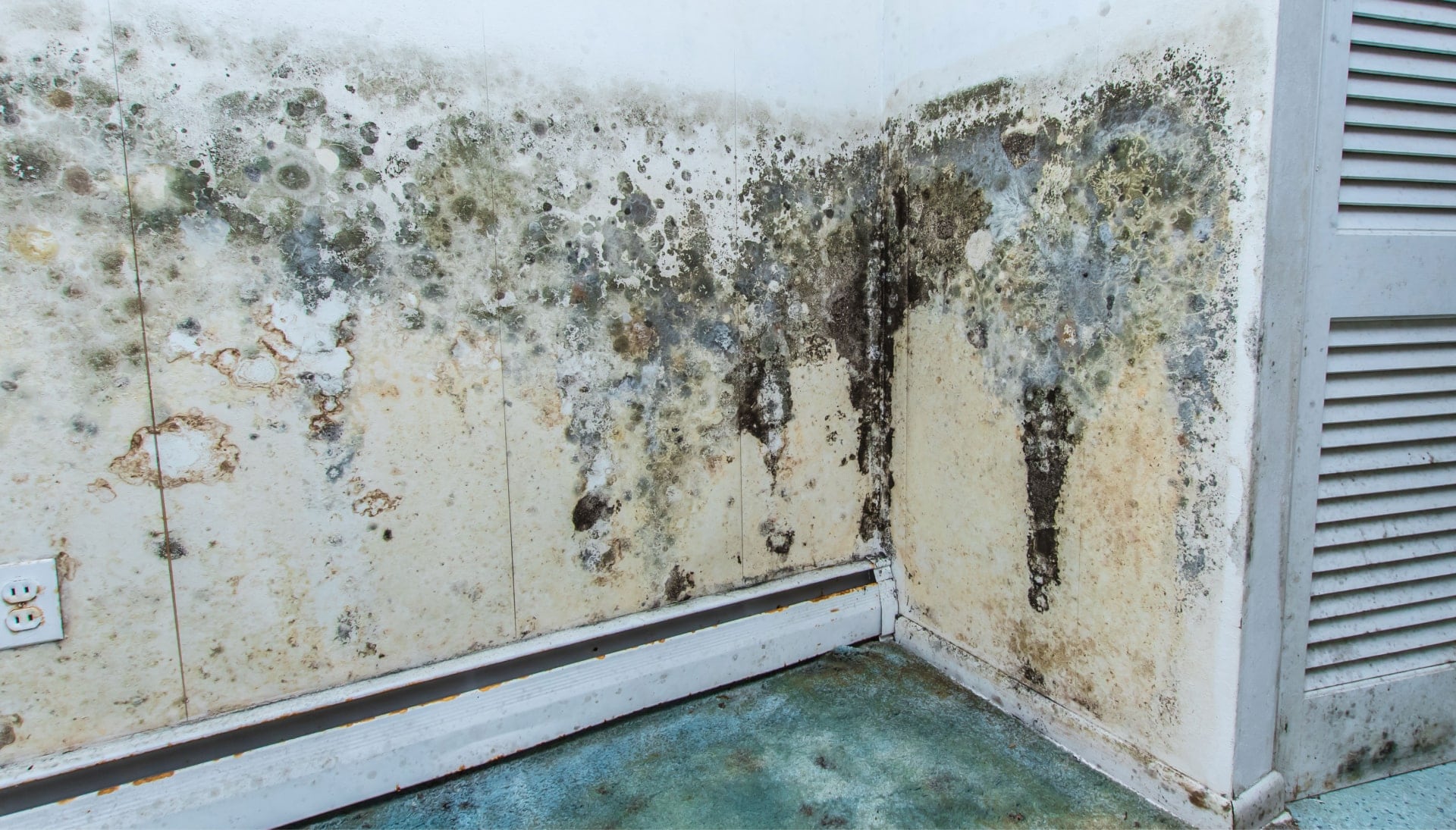 A mold remediation team using specialized techniques to remove mold damage and control odors in a Fort Worth property, with a focus on safety and efficiency